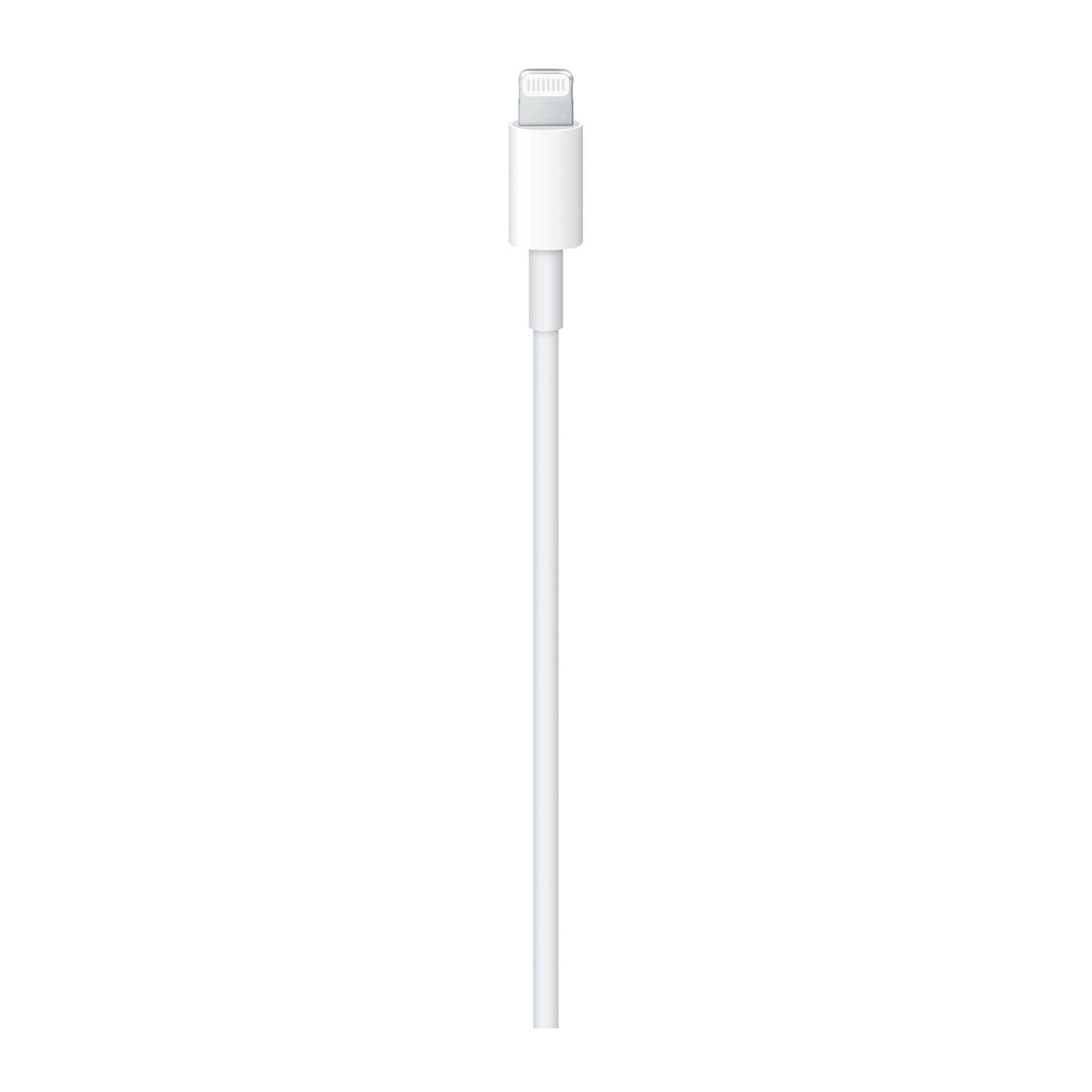 Apple Cable USB-C a Lightning