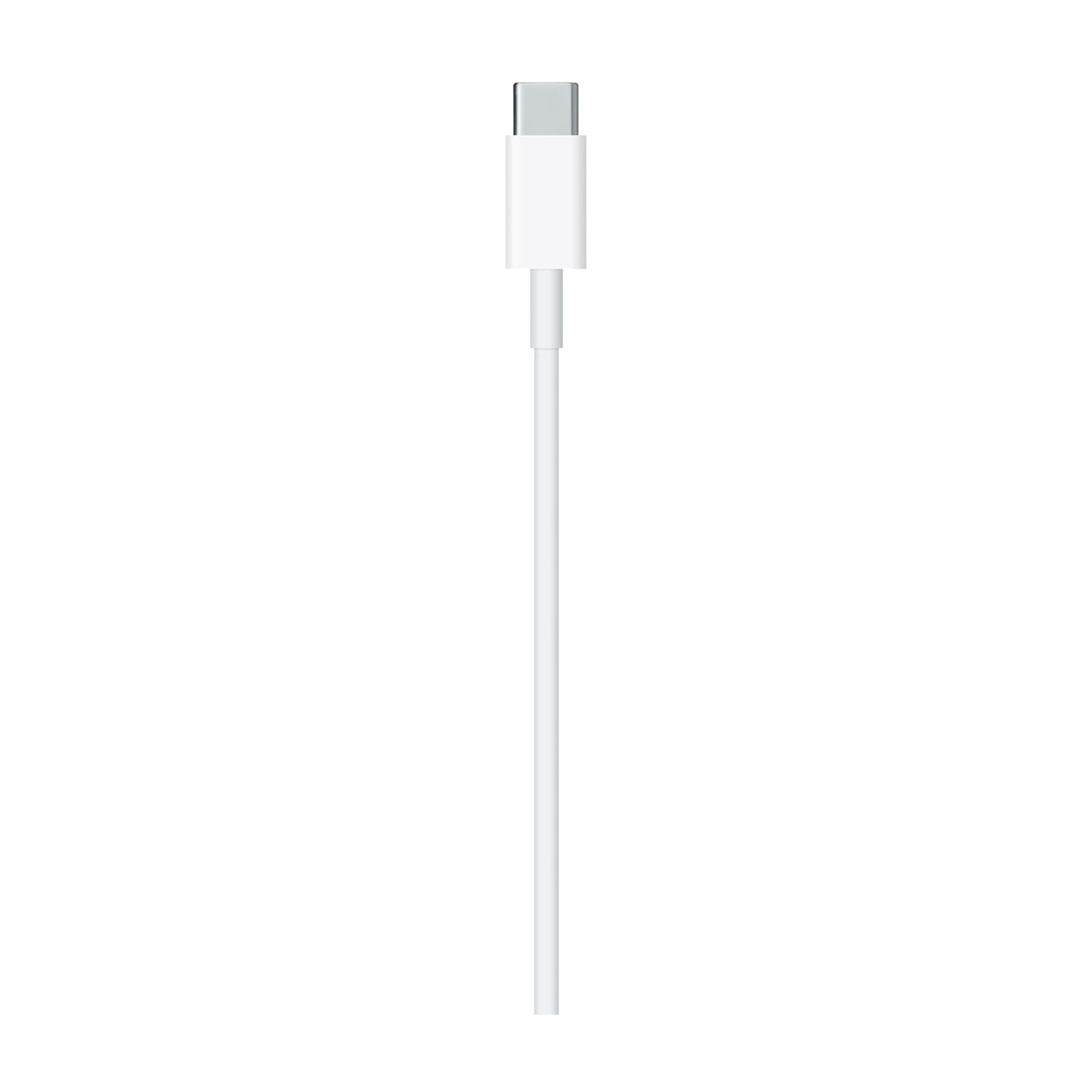 Apple Cable USB-C a Lightning