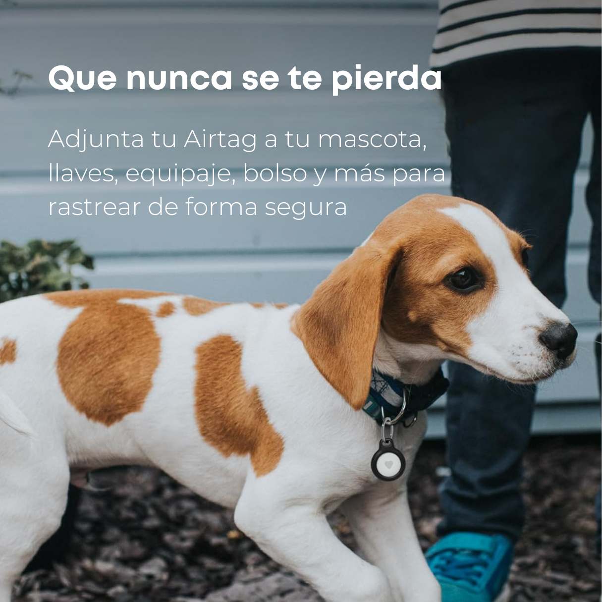 Belkin - Soporte seguro con llavero para Apple AirTag, duradera y resistente a los arañazos