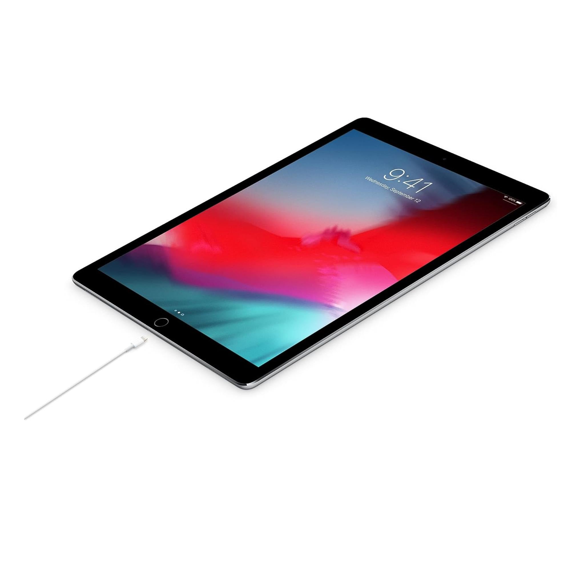 Apple Cable USB-C a Lightning