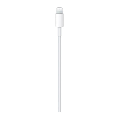 Apple Cable USB-C a Lightning