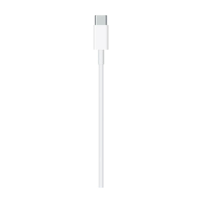 Apple Cable USB-C a Lightning