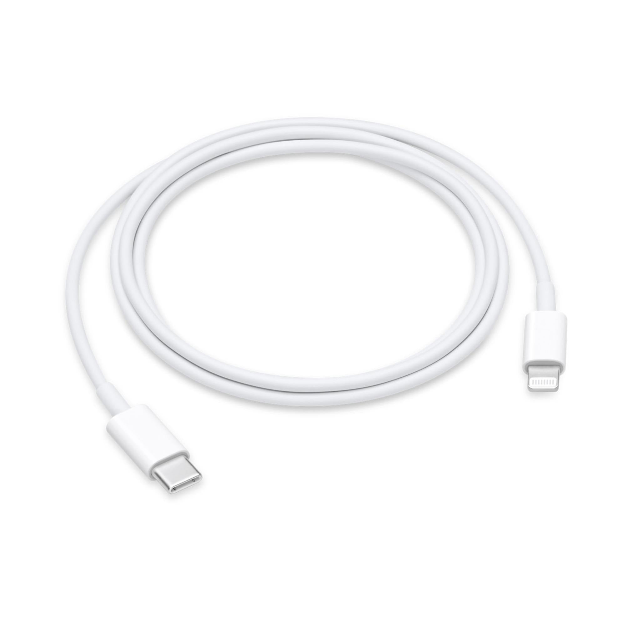 Apple Cable USB-C a Lightning