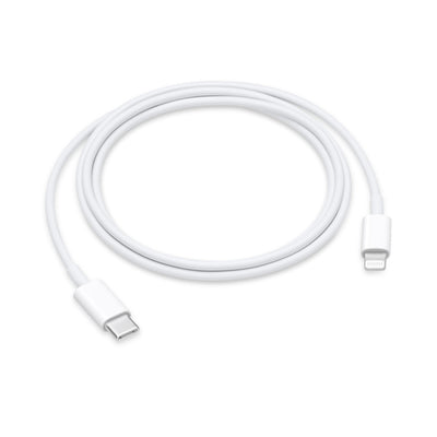 Apple Cable USB-C a Lightning