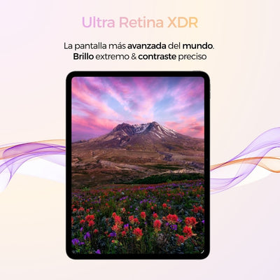 iPad Pro M5 11 Pulgadas - 256 Gb