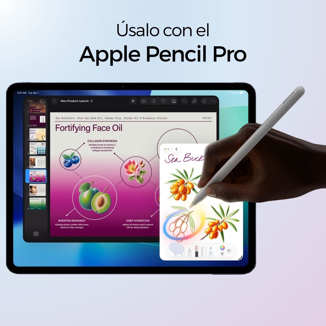 iPad Pro M5 11 Pulgadas - 256 Gb